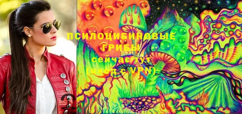 Псилоцибиновые грибы Magic Shrooms  как найти закладки  Буй 